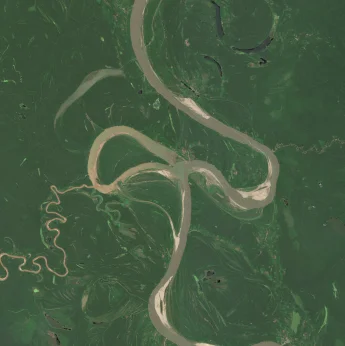 Ucayali River and surrounding forest in August 2016